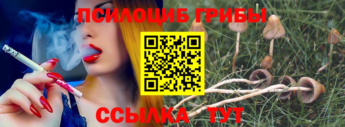 Галлюциногенные грибы мухоморы  Вход с VPN  Серпухов  Галлюциногенные грибы прущие грибы 