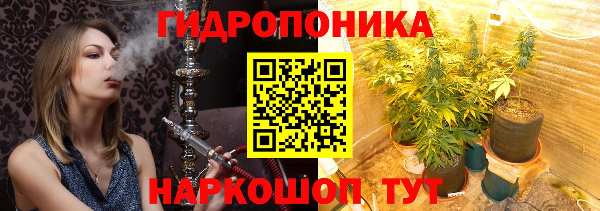 Бошки Шишки Amnesia Серпухов